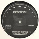 Stephen Disario/When They Fall EP (12")