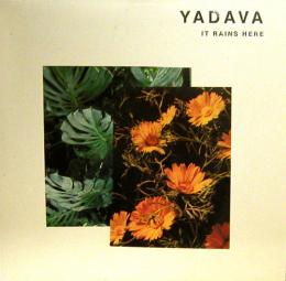 Yadava/It Rains Here (2x12")