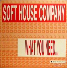Soft House Company/What You Need (12")